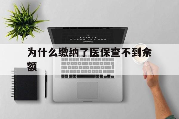 海盐最新为什么缴纳了医保查不到余额方法分析(最方便真实的海盐医保交了费怎么查不到方法)